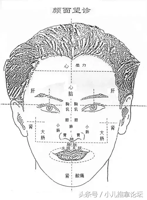 最全面的颜面望诊（只需收藏这一份）