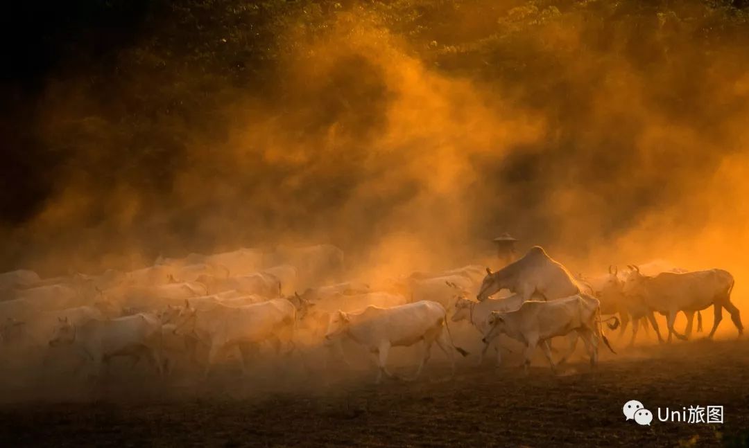 全球华人旅拍大赛，9月月赛入围作品展（一）