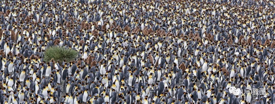 全球华人旅拍大赛，9月月赛入围作品展（一）