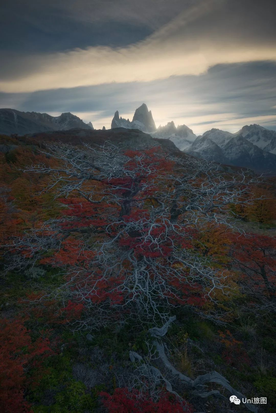 全球华人旅拍大赛，9月月赛入围作品展（一）