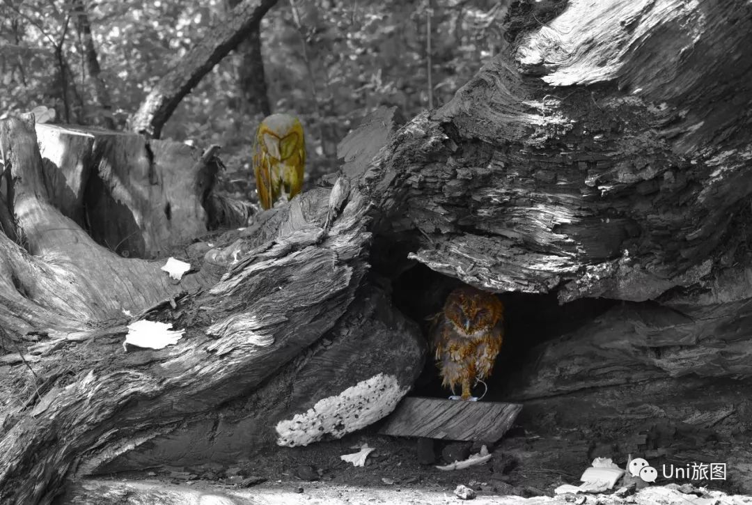 全球华人旅拍大赛，9月月赛入围作品展（一）