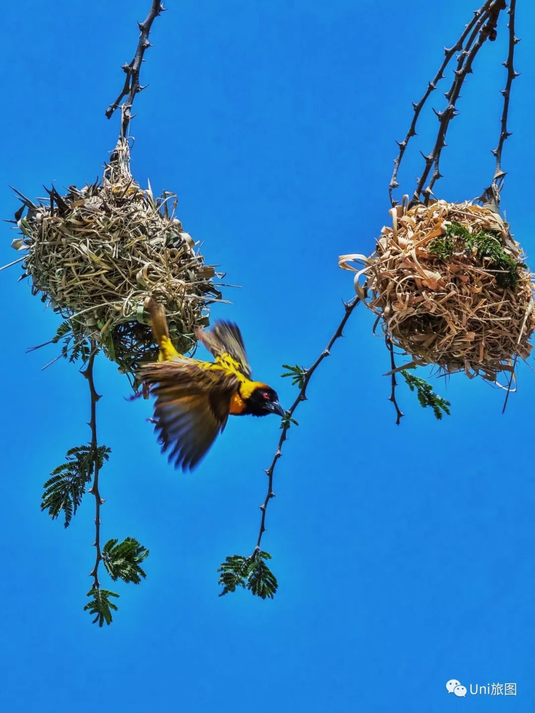 全球华人旅拍大赛，9月月赛入围作品展（一）