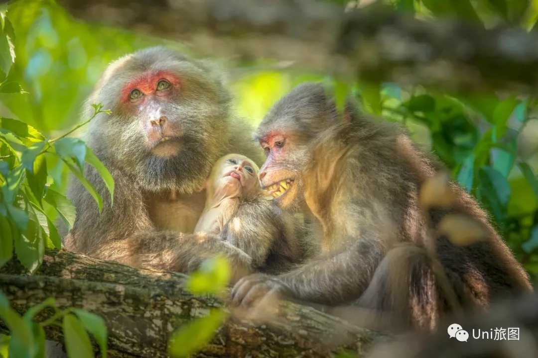 全球华人旅拍大赛，9月月赛入围作品展（一）