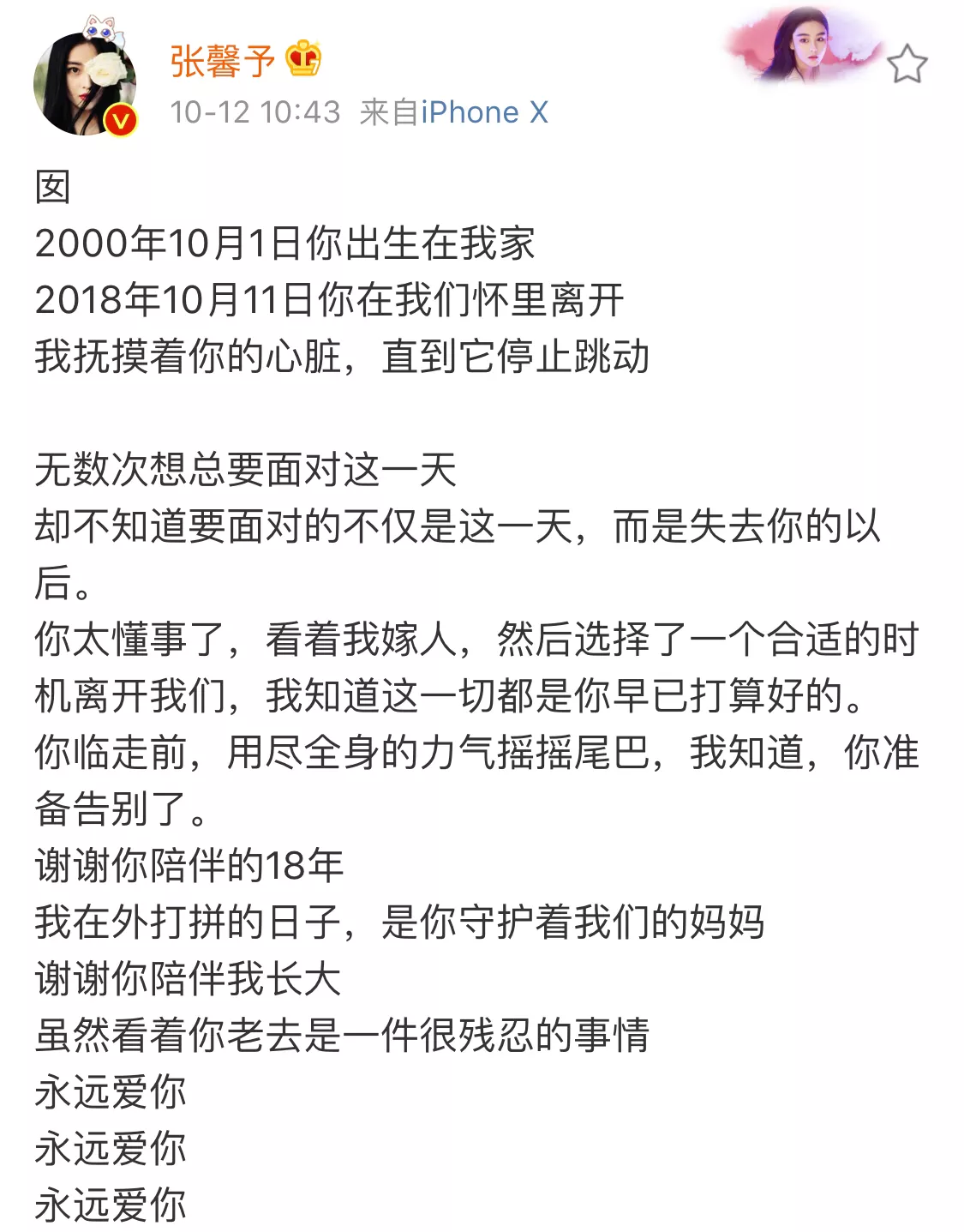 张馨予发文悼念(陪伴18年的狗狗离去了，张馨予发文悼念，临走前这个动作引人泪)