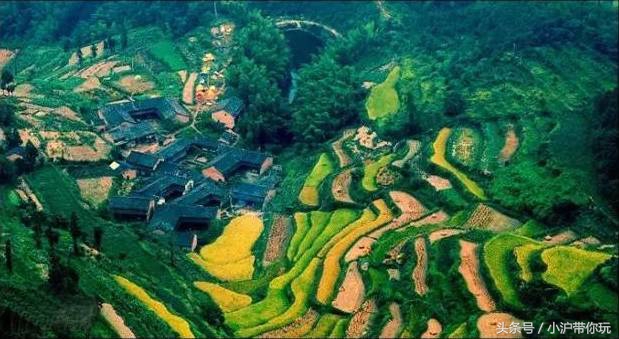 上海出发自驾2.5h圈，藏着不可错过的6条绝美风景线！