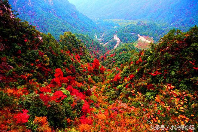 上海出发自驾2.5h圈，藏着不可错过的6条绝美风景线！