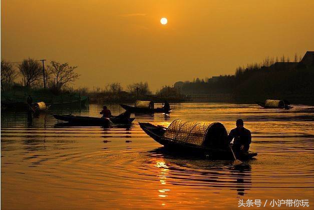 上海出发自驾2.5h圈，藏着不可错过的6条绝美风景线！