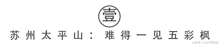 上海出发自驾2.5h圈，藏着不可错过的6条绝美风景线！