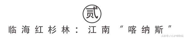 上海出发自驾2.5h圈，藏着不可错过的6条绝美风景线！