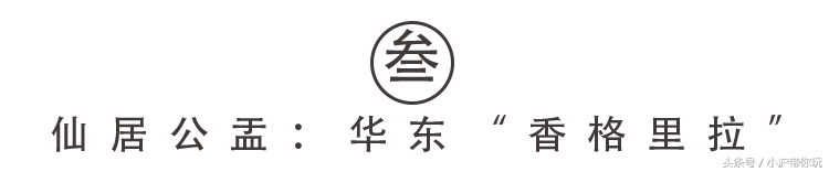 上海出发自驾2.5h圈，藏着不可错过的6条绝美风景线！