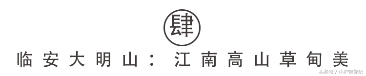 上海出发自驾2.5h圈，藏着不可错过的6条绝美风景线！