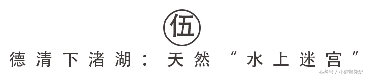上海出发自驾2.5h圈，藏着不可错过的6条绝美风景线！