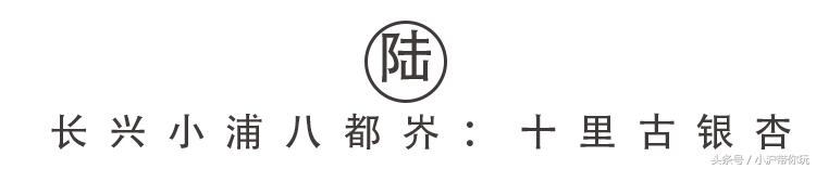 上海出发自驾2.5h圈，藏着不可错过的6条绝美风景线！