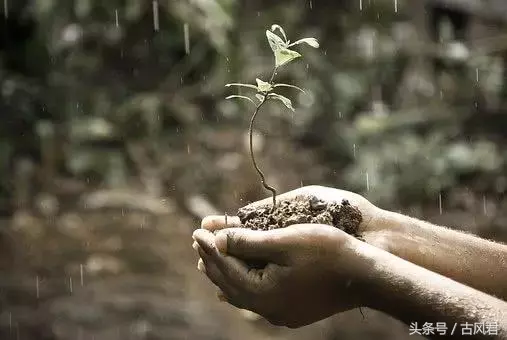 古人是如何写雨的？“飞花令”——雨，45首“雨”古诗词名句汇编