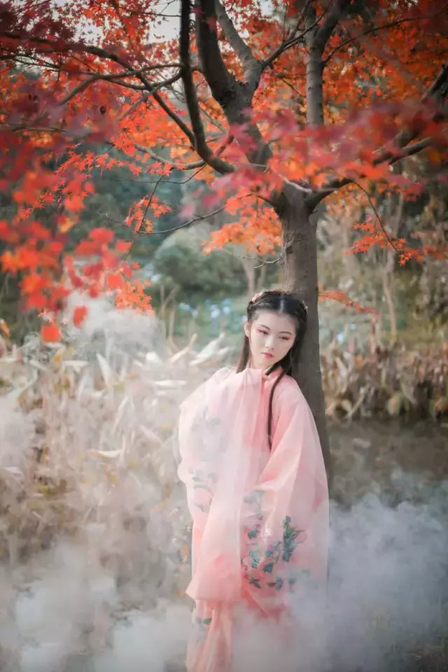 梧桐树，是中国传统文人的爱情树，是唐诗宋词里凄美的爱情树