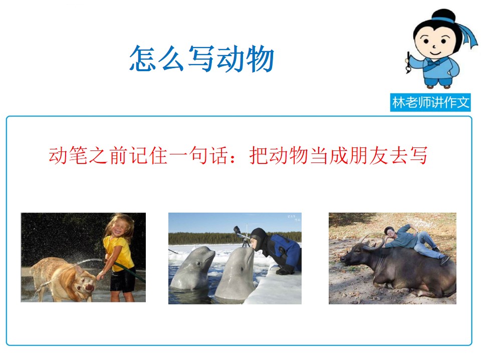 如何写好动物作文：以猫为例的写作技巧指导
