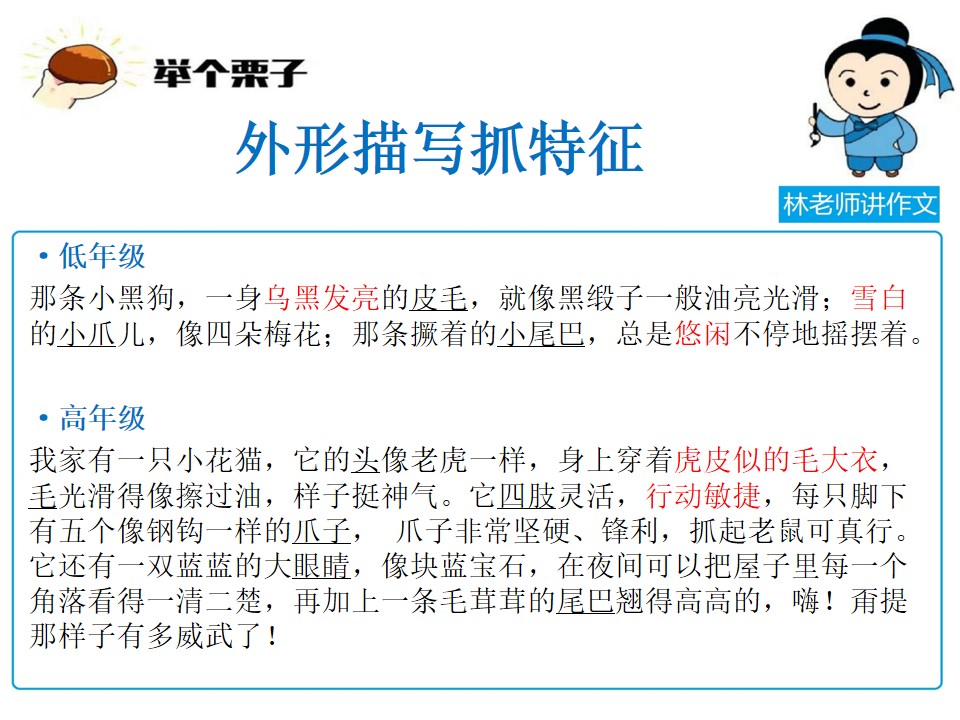 写动物的作文写不好，林老师手把手把方法教给你