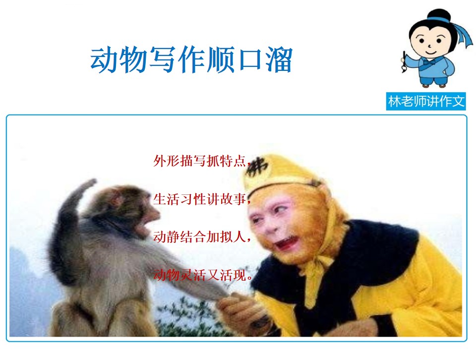 写动物的作文写不好，林老师手把手把方法教给你