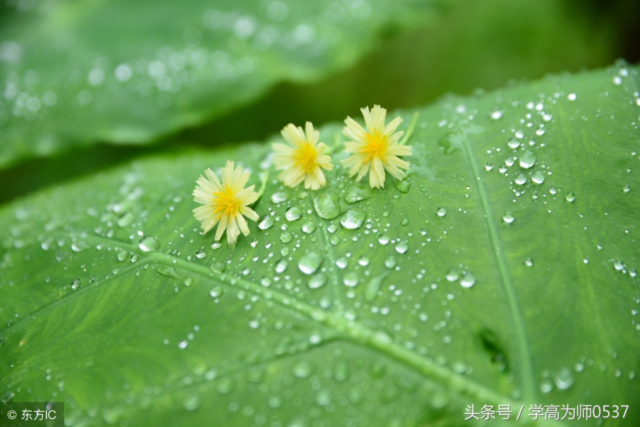 小学语文句子变换练习，收藏给孩子做（附答案）