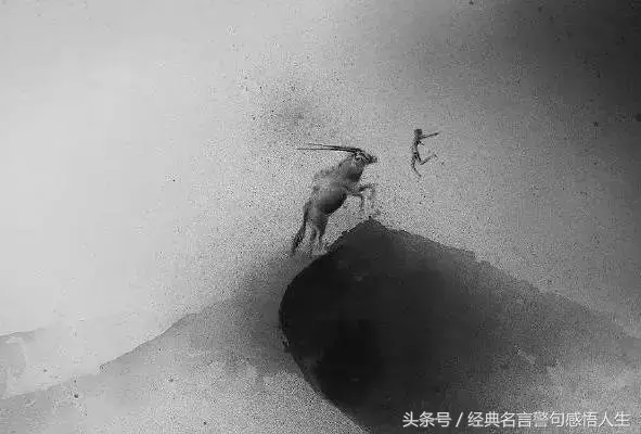 做人,赢在人品,输在算计!
