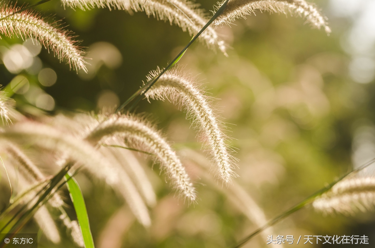 《西游记》经典台词、经典语录，终身受益