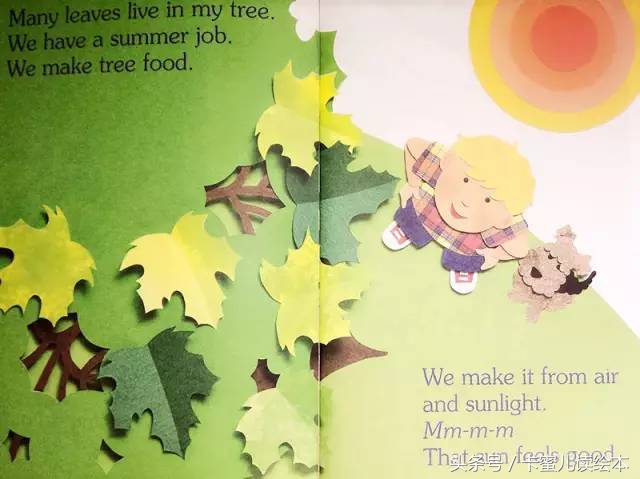 双语有声科普绘本《I am a leaf》我是一片叶子