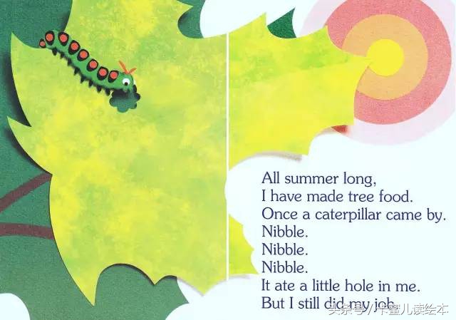 双语有声科普绘本《I am a leaf》我是一片叶子