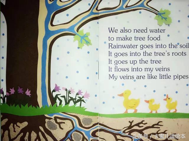 双语有声科普绘本《I am a leaf》我是一片叶子