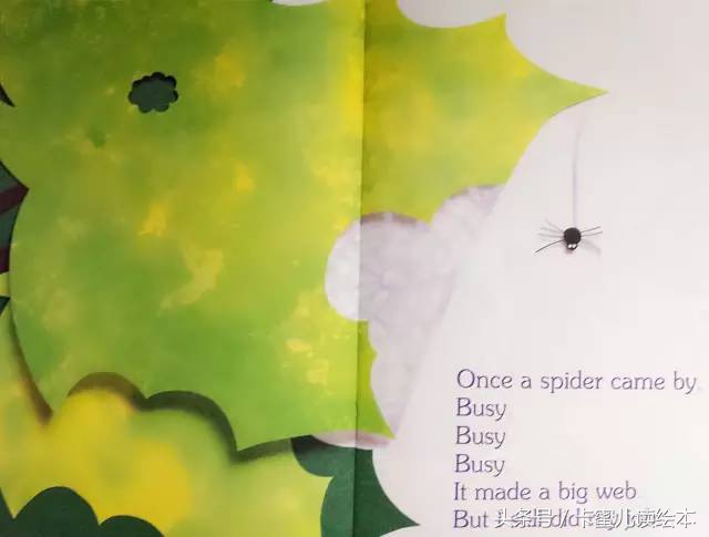 双语有声科普绘本《I am a leaf》我是一片叶子