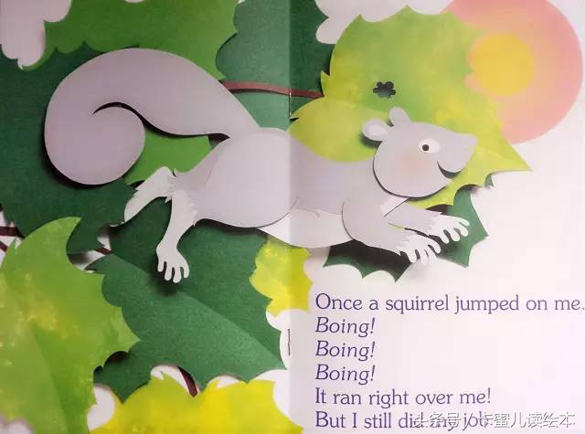 双语有声科普绘本《I am a leaf》我是一片叶子