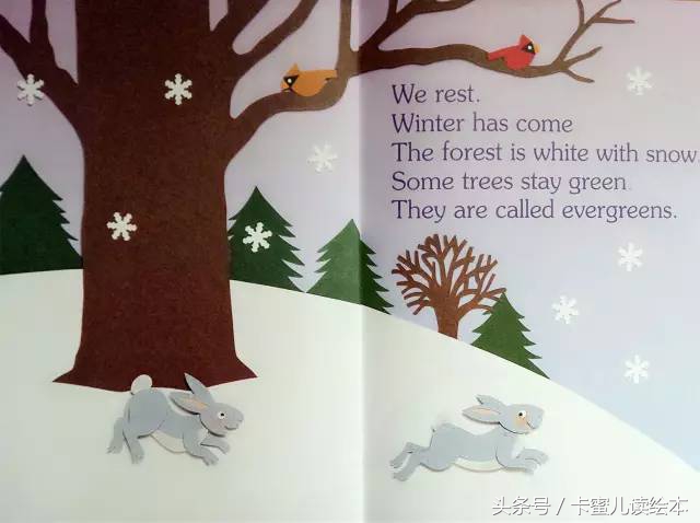 双语有声科普绘本《I am a leaf》我是一片叶子