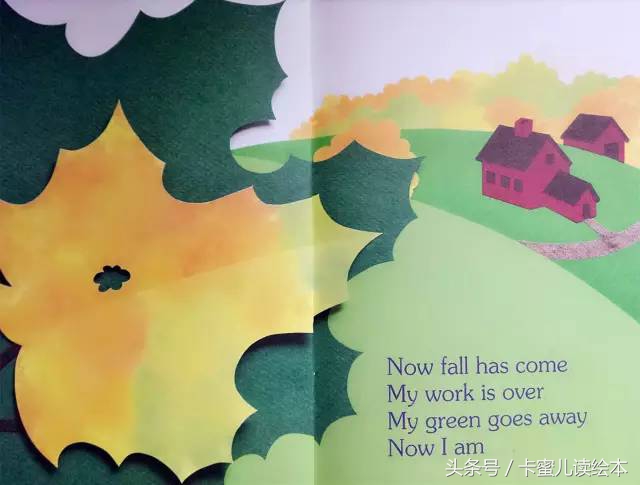 双语有声科普绘本《I am a leaf》我是一片叶子