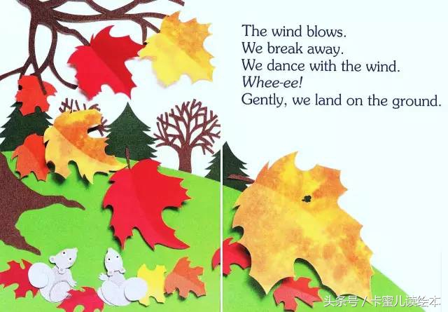 双语有声科普绘本《I am a leaf》我是一片叶子