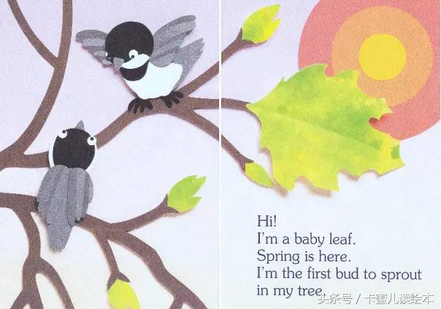 双语有声科普绘本《I am a leaf》我是一片叶子
