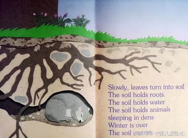 双语有声科普绘本《I am a leaf》我是一片叶子