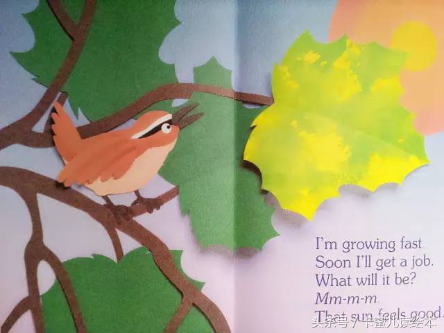 双语有声科普绘本《I am a leaf》我是一片叶子