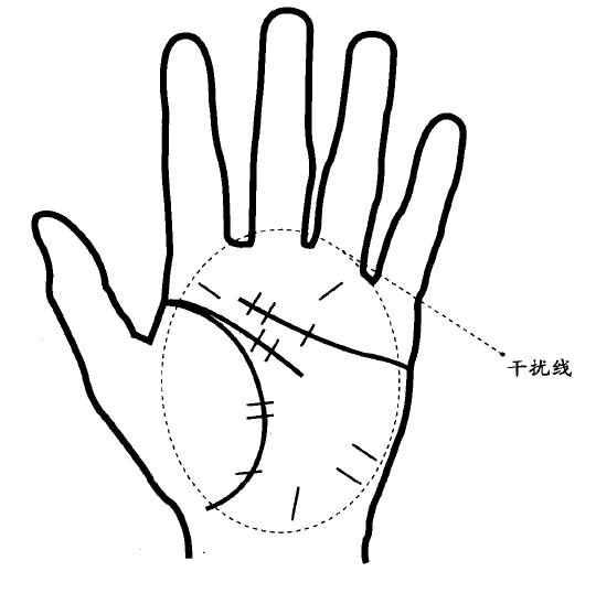 手掌中密密麻麻都是细纹称为干扰线也叫障碍线，反映近期身体状况