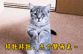 廣州亞運會開幕式司儀（49歲的周濤也不再年輕了，但手上大鉆戒很搶眼！）