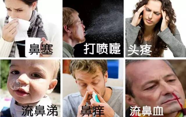 过敏性鼻炎，鼻窦炎，用中医闻香疗法，10分钟缓解，舒爽一整天
