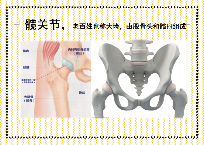 护士二郎腿图片.(人工髋关节置换术后体位指导画册，三甲医院护士教您如何护理！)