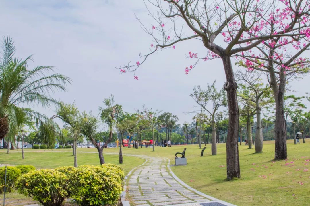 珠海海滨公园,珠海海滨公园停车收费标准