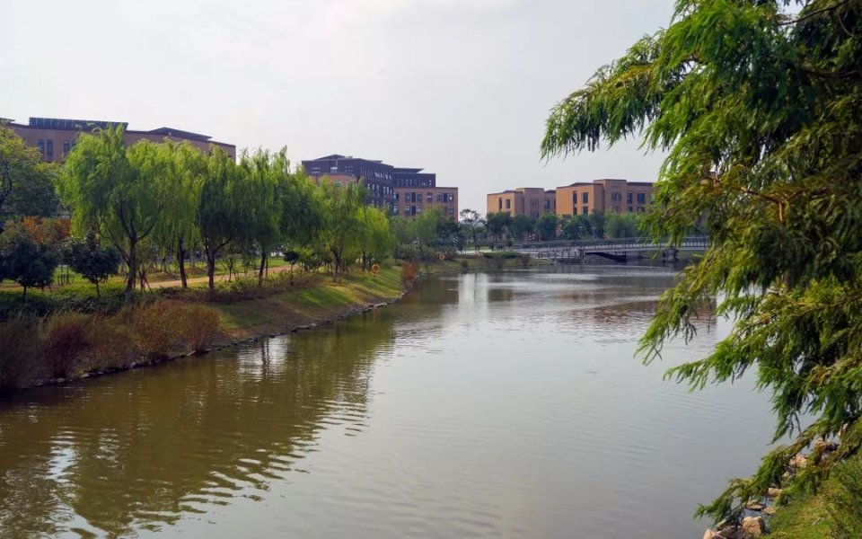 沪上这24所高校的靓丽"水景",留下你哪些美好回忆?