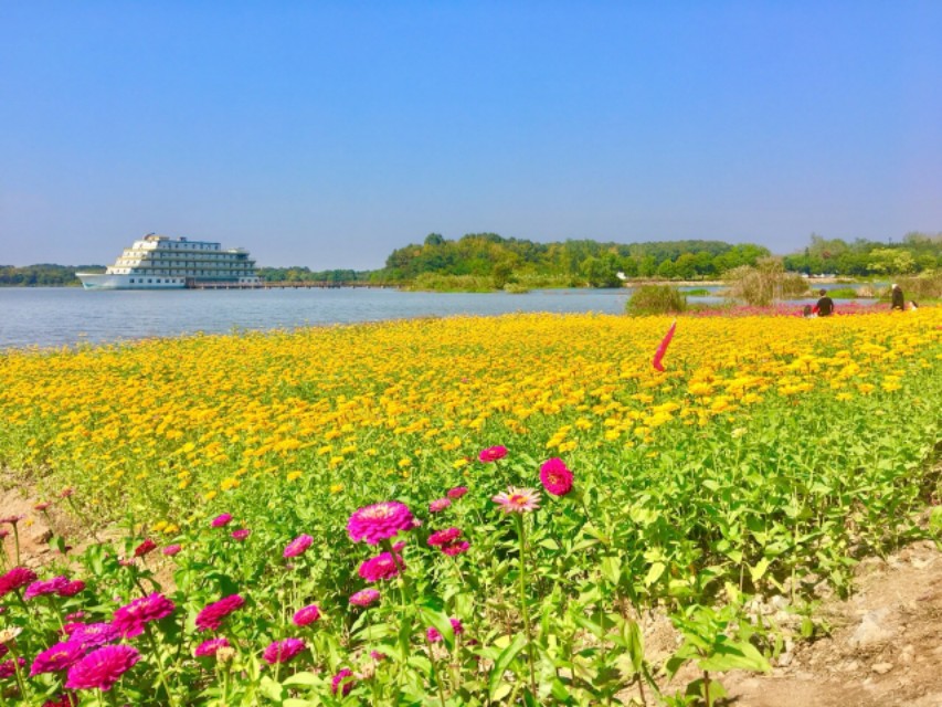 高考满分作文英语（2018年高考英语优秀作文范文）