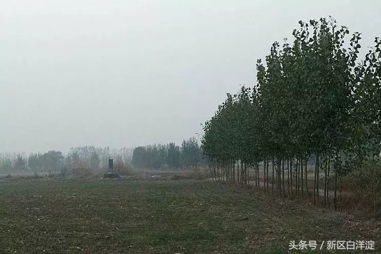 雄安新区白洋淀：竖碑，安州管辖安新容城任丘三县