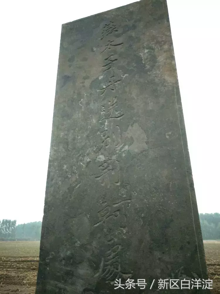 雄安新区白洋淀：竖碑，安州管辖安新容城任丘三县