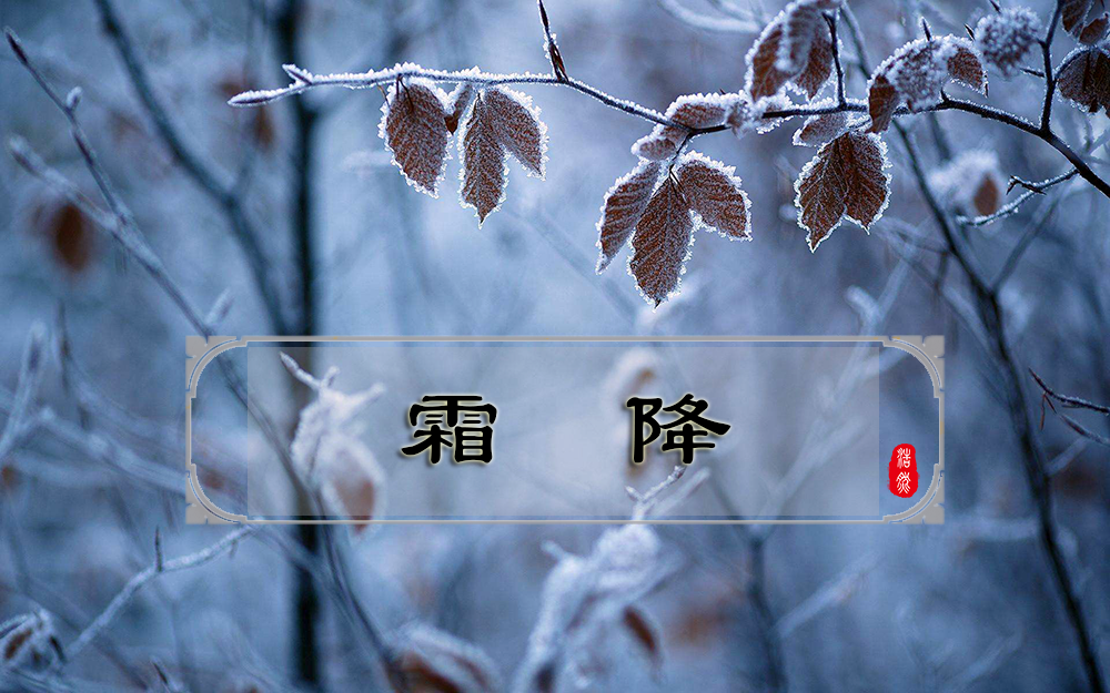 霜叶红于二月花：二十四节气之霜降，你该知道的气候和民俗