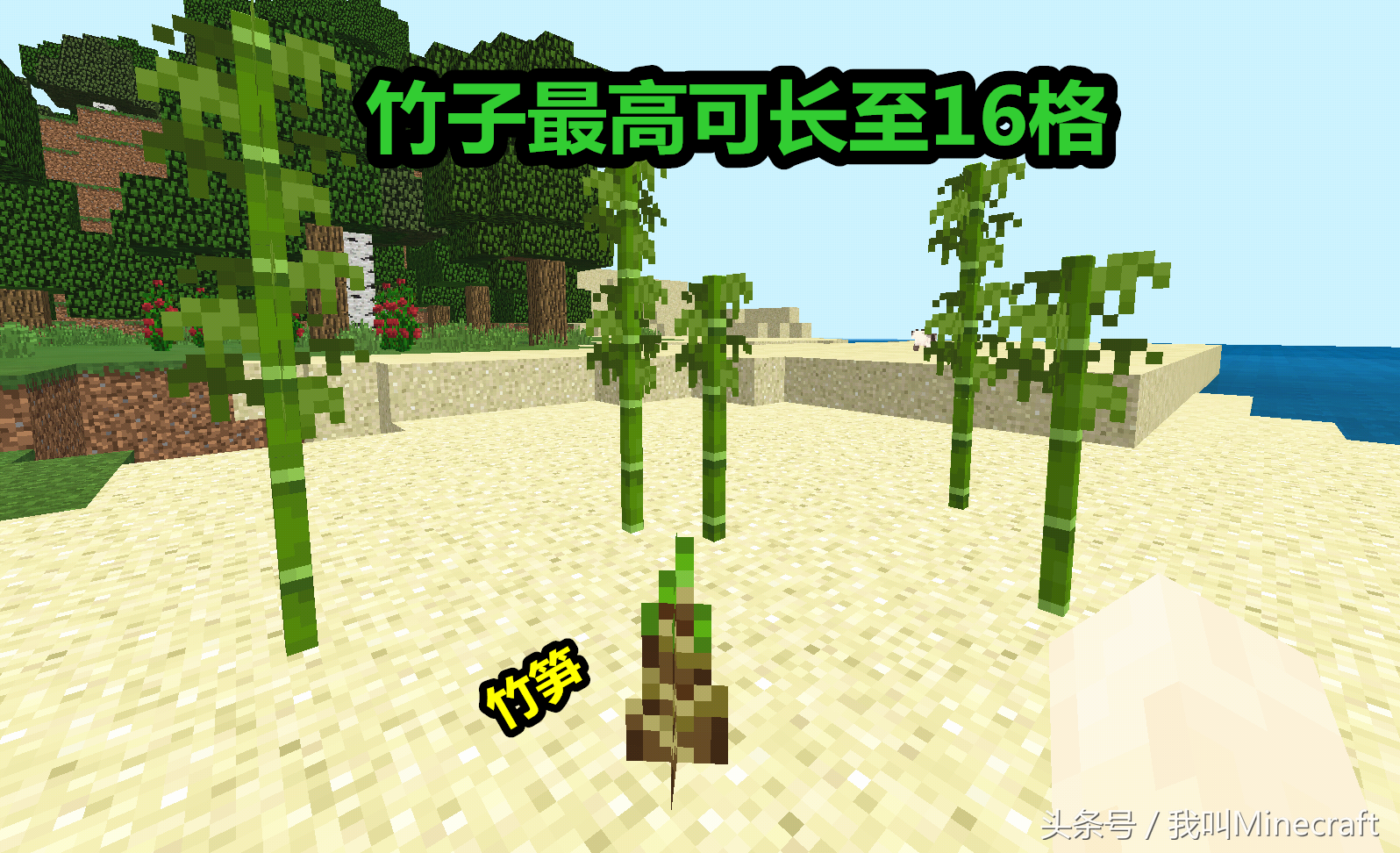 我的世界：竹子到底有什么用？盘点新版MC“竹子”的8大用途！