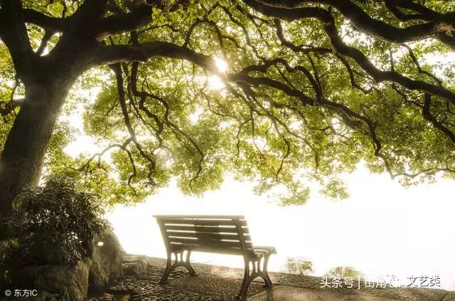 心理测试：选一个你认为最美的良辰美景，测你近期有什么好运气