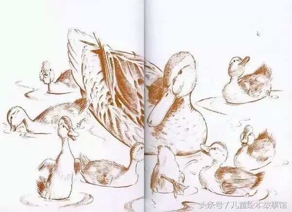 绘本故事丨《给小鸭子让路》让身边充满爱