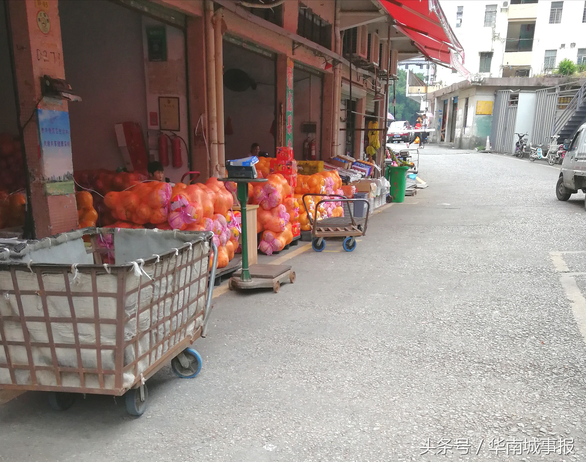 深圳龙华今日水果价格「深圳龙华批发水果的在哪里」